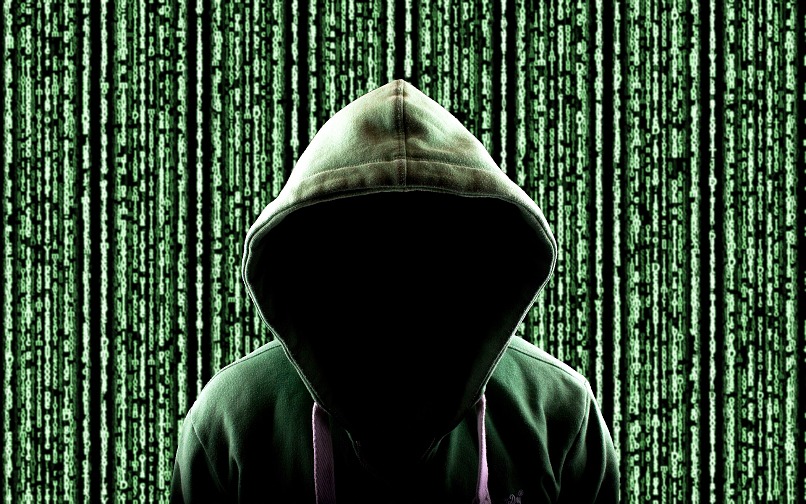 Hackers Taunt Western Digital by Leaking Internal Documents