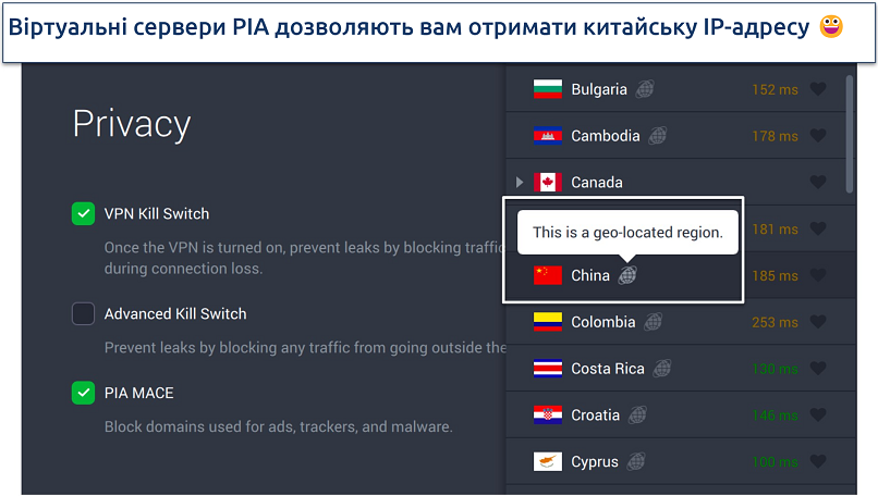 Знімок екрану налаштувань конфіденційності PIA та віртуальних серверів у додатку