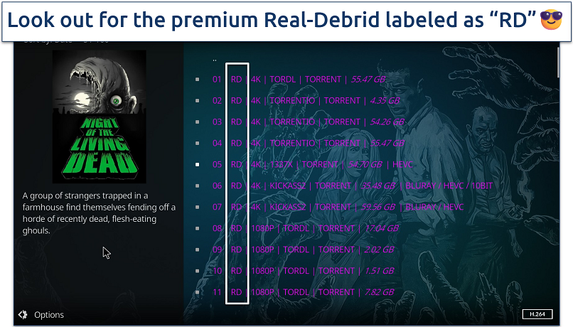 Screenshot showing a list of RD links