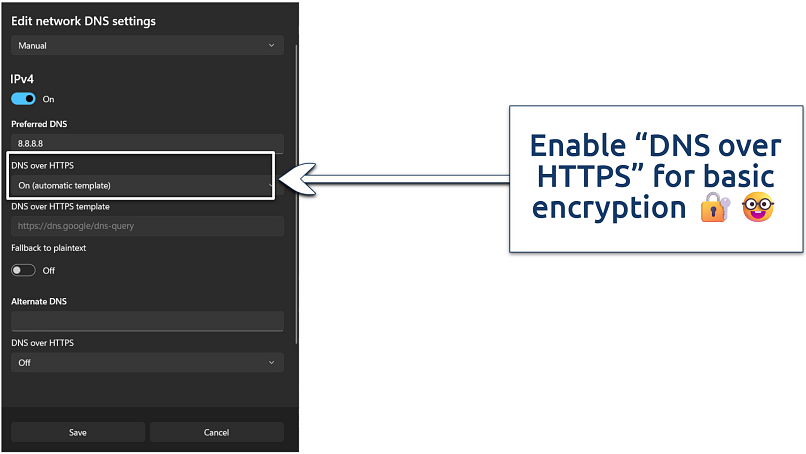 Screenshot of the custom DNS settings on Windows 11